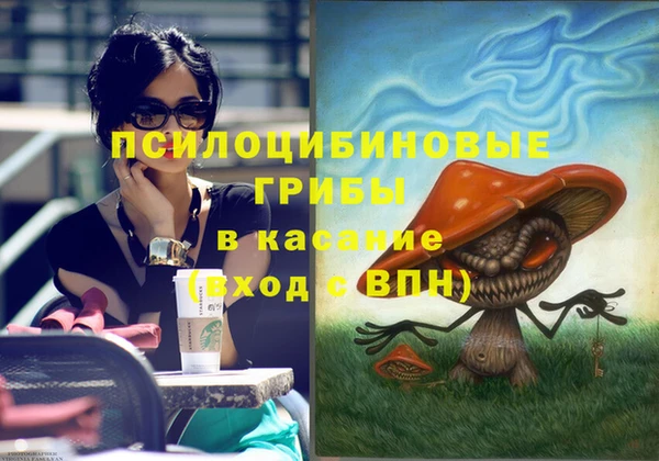 стафф Алексеевка